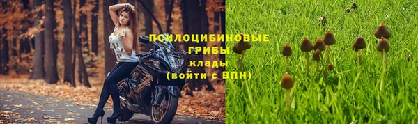 дурь Липки